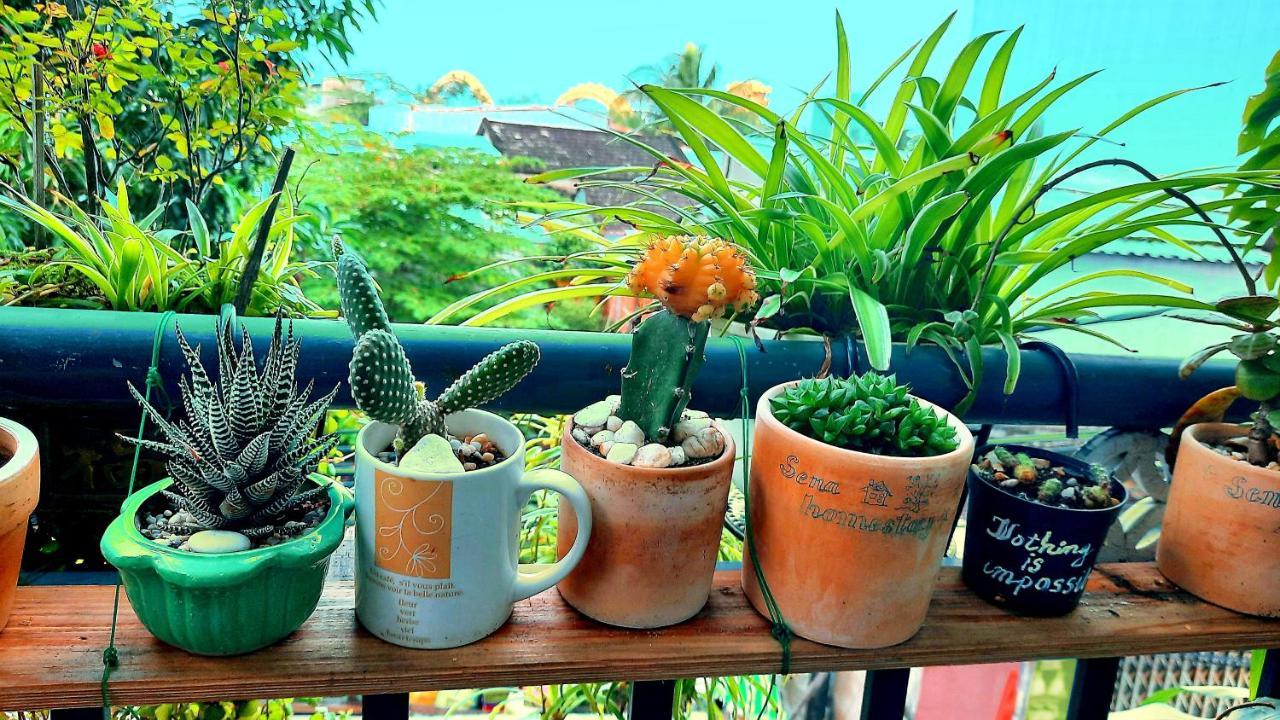 Sena Home 2Nd*Near Danang Han River*Dragon Bridge Exterior photo
